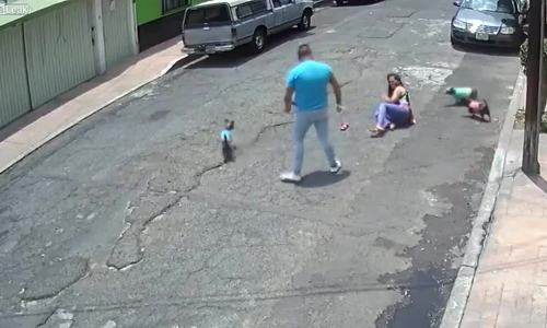 Video 'đánh phụ nữ vì chó cắn nhau' gây phẫn nộ