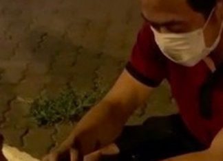 CLIP Người đàn ông ngồi cúi đầu bên vệ đường xin việc kiếm 250k, cô gái trẻ hành động gây xôn xao mạng XH