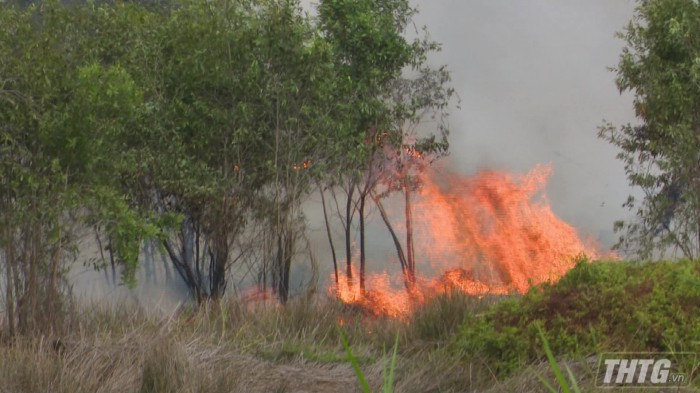 Cháy gần khu dân cư thị trấn Mỹ Phước, nhiều người hốt hoảng