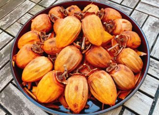 HỒNG KHÔ, HỒNG HÔNG GIÓ....
