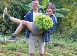 Cặp vợ chồng trẻ rời thành phố về rừng sâu sống cuộc đời an nhiên