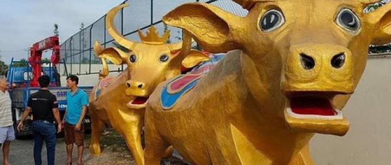 Linh vật trâu vàng đón Tết ở Long An, biểu cảm hoảng hốt đến hài hước khiến ai cũng phải bật cười