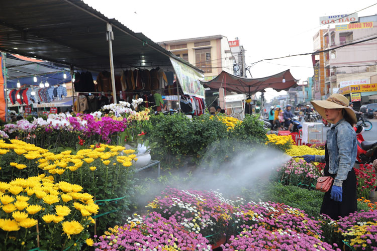 Thông báo đăng ký Hội hoa xuân Tân Sửu 2021 tại chợ cũ Bảo Lộc và đường Nguyễn Công Trứ nối dài