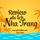 Review Du Lịch Nha Trang, profile picture