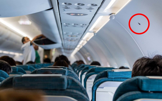 Tiếp viên hàng không tiết lộ 5 điều ít ai để ý khi đi máy bay: Bạn có biết ý nghĩa của hình tam giác này?