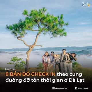 May be an image of standing, tree, sky and text that says 'halo |HALOTIPS |HALO TIPS 8 BẢN ĐỒ CHECK IN theo cung đường đỡ tốn thời gian ở Đà Lạt Inm Halotravel.vn f Halo Travel'
