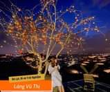 May be an image of outdoors, tree and text that says "Đà Lạt, Đi và Trải Nghiệm Làng Vũ Thị"