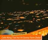 May be an image of sky and text that says "So Đà Lạt, Đi và Trải Nghiệm Cafe Nông Trại Vui Vẻ Sunny Farm Dalat"