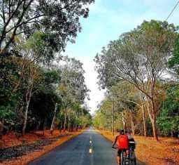 May be an image of bicycle, road, tree and nature