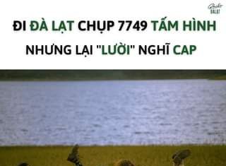 Dành cho người chơi hệ "LƯỜI NGHĨ CAP"  Đi Đà Lạt chụp được 7749 tấm hình mà nghĩ quài hổng ra Caption thì lưu ngay list này về nhé!!! 1. Ngày tháng đẹp biết ba