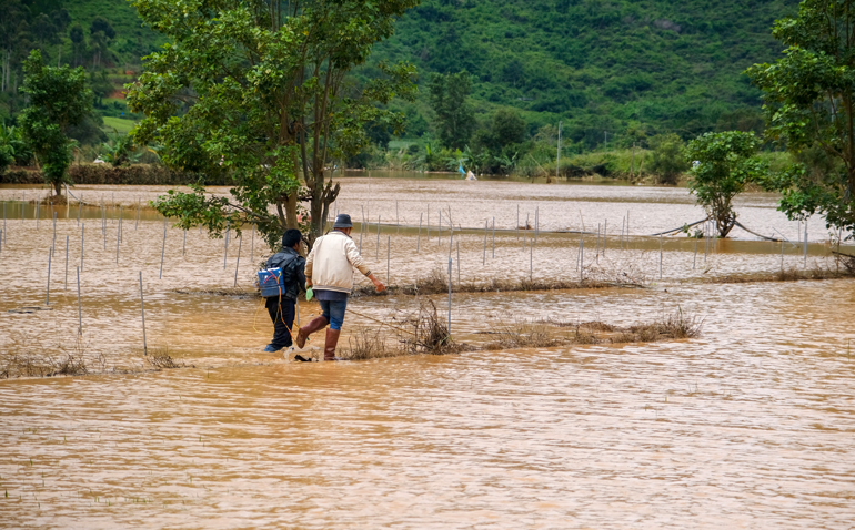 Lâm Đồng: Cảnh báo mưa lớn cục bộ, mưa đá, lũ quét, sạt lở đất trong 10 ngày tới